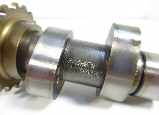 Nokkenas Harley Davidson Softtail