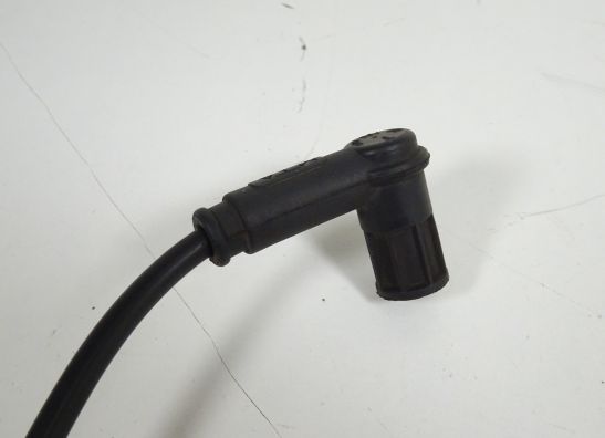 Bobine Ducati Monster 800