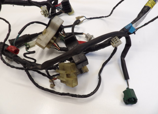 Wire harness front Honda Goldwing GL