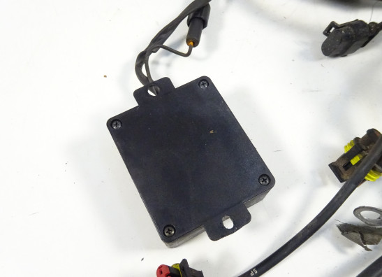 Kabelboom Ducati monster 600