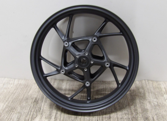 Voorvelg BMW R 1250 R 2019-2020