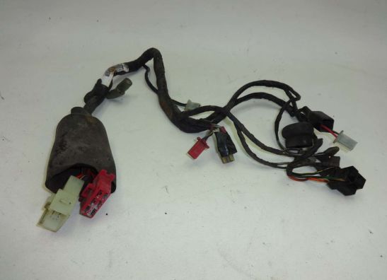 Kabelboom voor Kawasaki GTR 1000