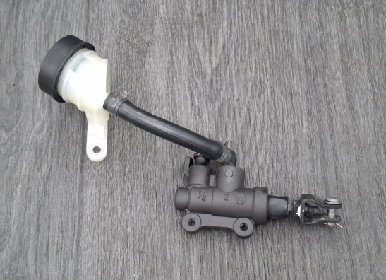 Rempomp achter BMW R 1200 GS LC
