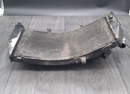 Kuhler Honda CBR Fireblade