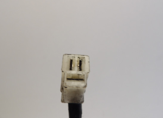 Dynamo Kawasaki VN 800