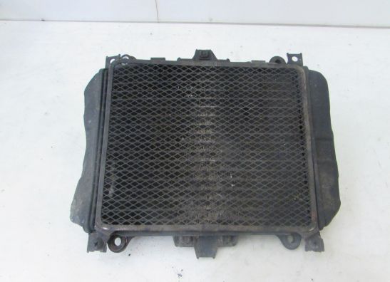 Kuhler Kawasaki KLE 500