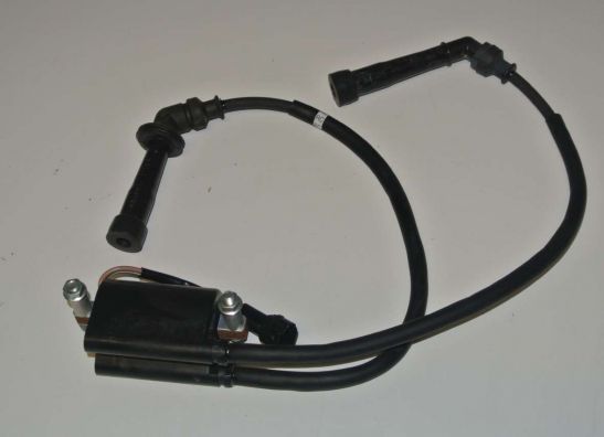 Ignition Coil Suzuki SFV 650 Gladius
