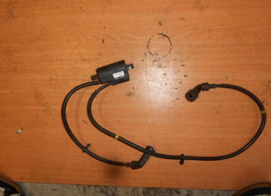 Bobine Yamaha XJ 900 S Diversion