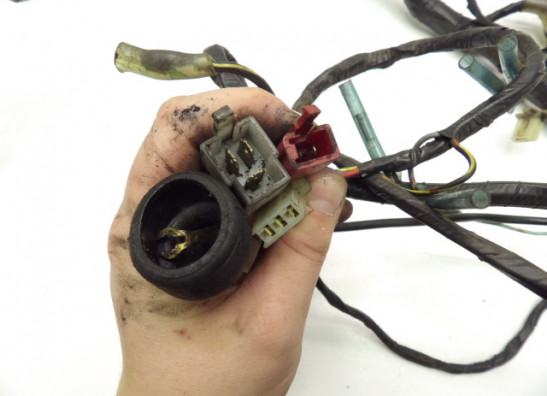 Wire Harness Kawasaki ER 5