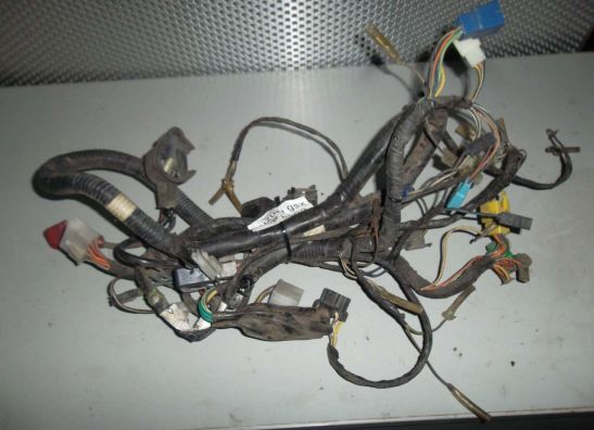 Kabelboom Suzuki GSX F 600