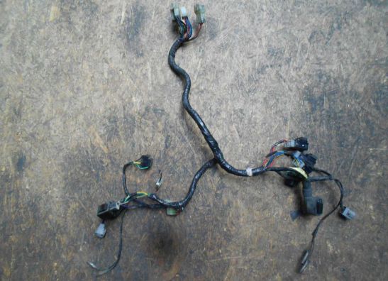 Wire harness front Yamaha FJR 1300
