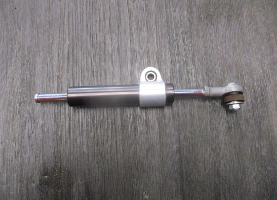 Stuurdemper BMW R Nine T
