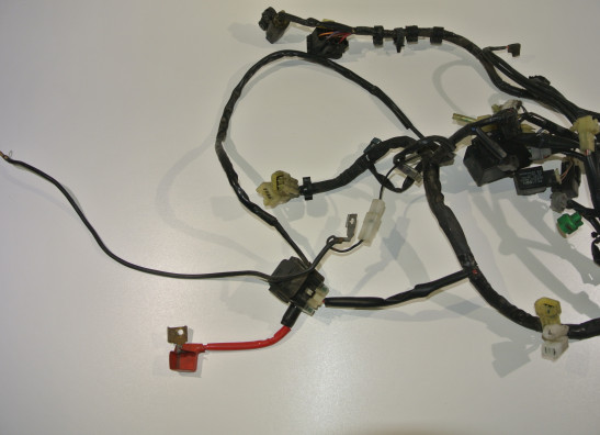 Kabelbaum Yamaha FZ6