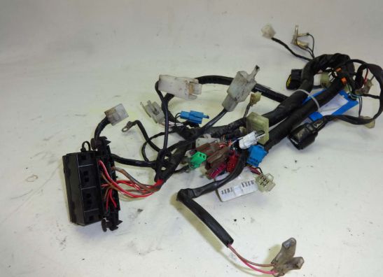 Kabelboom Yamaha FAZER 600