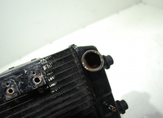 Radiator Yamaha GTS 1000