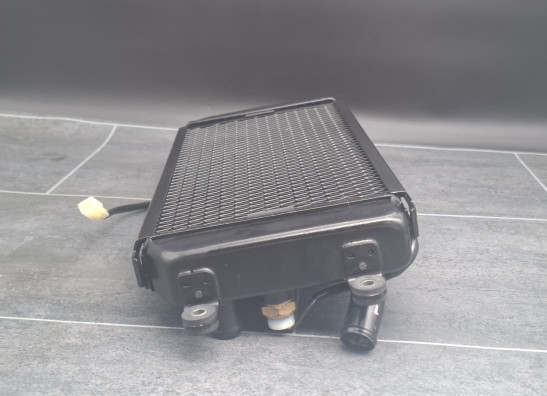 Radiator Suzuki VZ 800 marauder