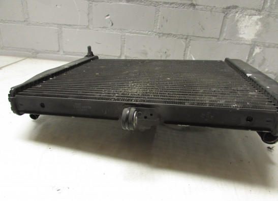 Kuhler Yamaha YZF R1