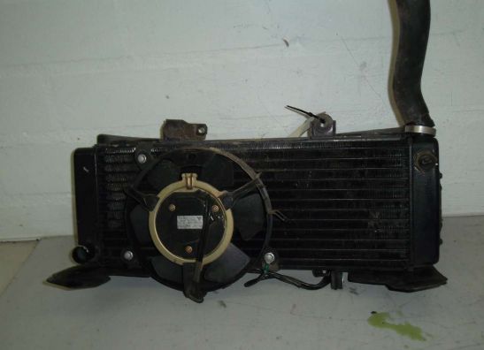 Radiateur Honda CBR 600 F