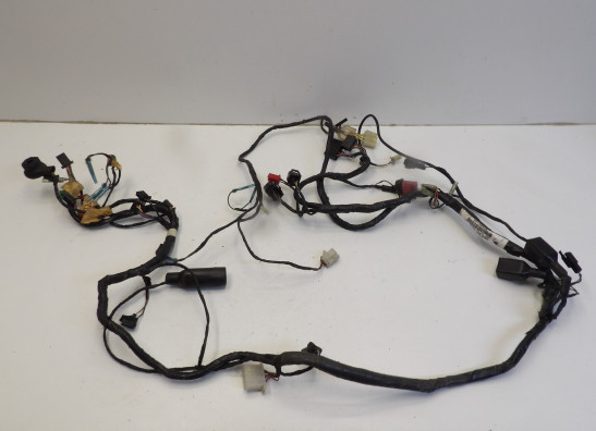 Kabelboom Kawasaki ZX 6 R