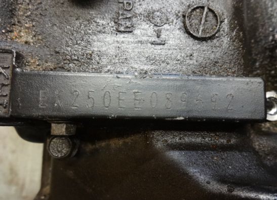 Motorblock Kawasaki ZZR 250