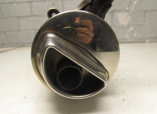 Auspuff BMW F 650 GS