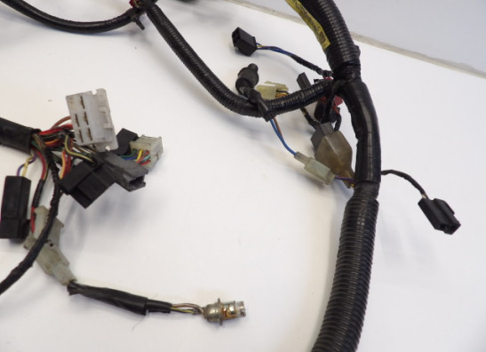 Wire Harness Kawasaki ER 5