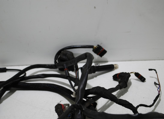Wire Harness BMW K 1200 R 
