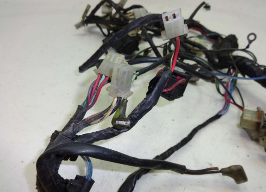 Kabelbaum Kawasaki ZZR 250