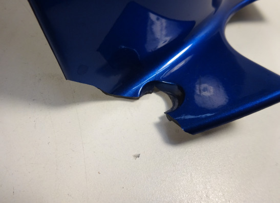 Tankschutz BMW F 800 S - ST