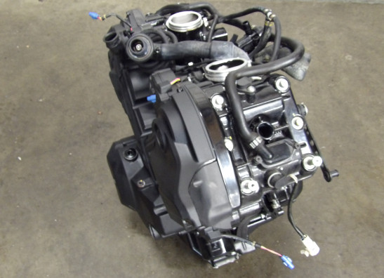 Motorblok Ducati Diavel 1260