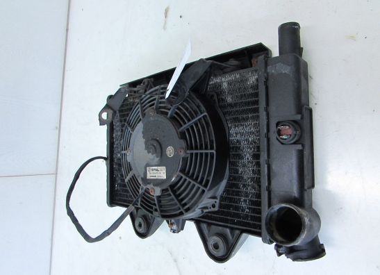 Radiateur Triumph Sprint 900 Executive