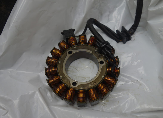 Dynamo Suzuki SV 1000