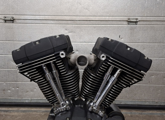 Motorblok Harley Davidson Softtail