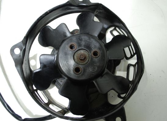 Fan Honda VT 500