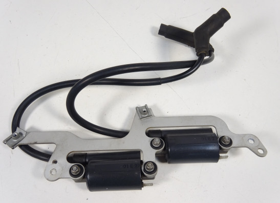 Bobine Aprilia Tuono 1000