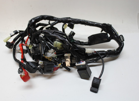 Kabelbaum Yamaha Tenere 700