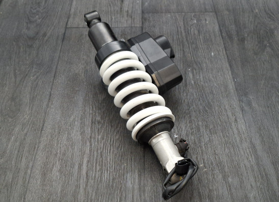 Stossdampfer hinten BMW R 1200 RT