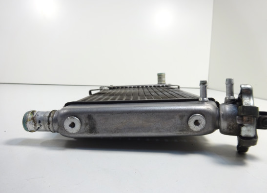 Kuhler Yamaha XTX 660