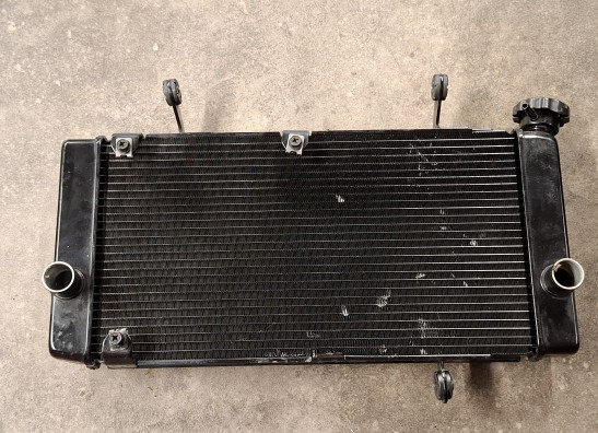 Radiator Suzuki DL 1000 V STROM