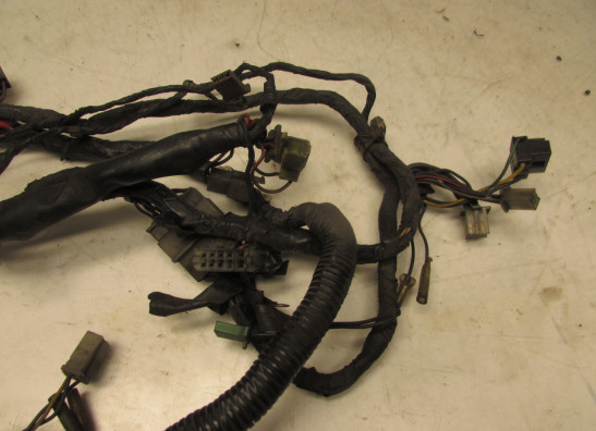 Wire Harness Yamaha FJ 1200