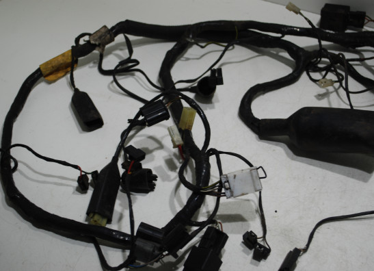 Wire Harness Triumph 900 Daytona