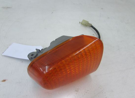 Blinker Kawasaki ZZR 1100