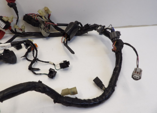 Kabelbaum Honda CBR Fireblade