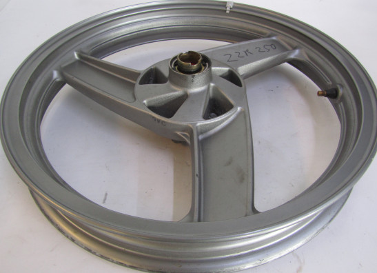 Voorvelg Kawasaki ZZR 250