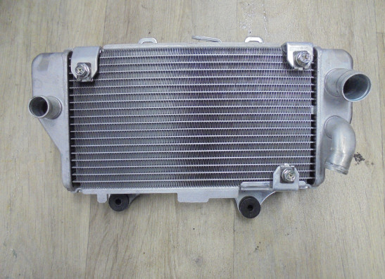 Kuhler Honda CRF 1100L Africa Twin Adventure Sports ES