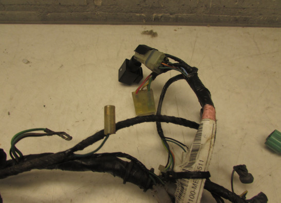 Kabelbaum Honda CBF 500