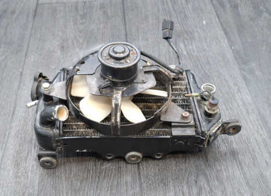 Radiateur Kawasaki KLX 650