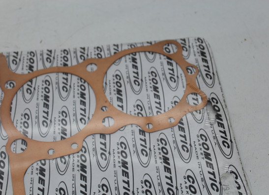 Dichtung Suzuki GSX R 1100