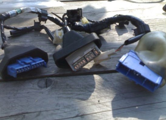 Kabelbaum Honda CBR 1100 XX