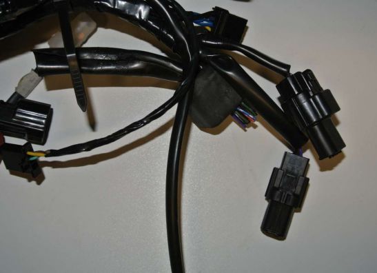 Kabelboom Triumph Tiger 1050